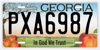 GA license plate PXA6987