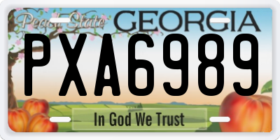 GA license plate PXA6989