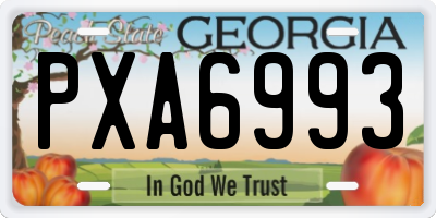 GA license plate PXA6993