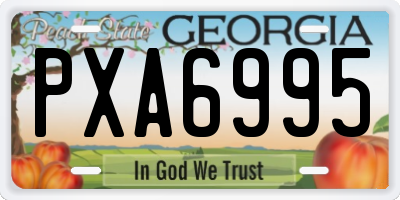 GA license plate PXA6995
