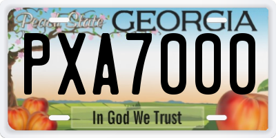 GA license plate PXA7000