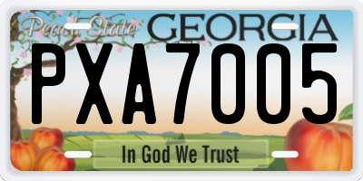GA license plate PXA7005