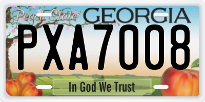 GA license plate PXA7008