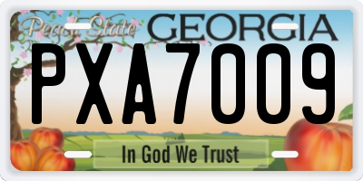 GA license plate PXA7009