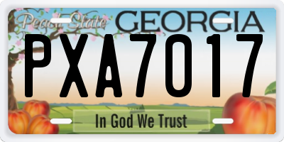 GA license plate PXA7017
