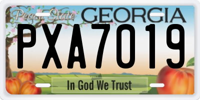 GA license plate PXA7019