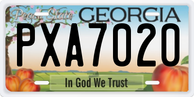 GA license plate PXA7020