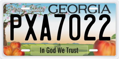 GA license plate PXA7022
