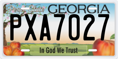 GA license plate PXA7027