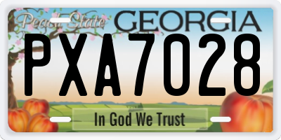 GA license plate PXA7028