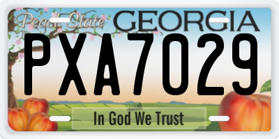 GA license plate PXA7029
