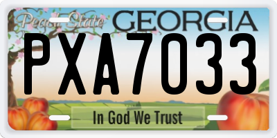 GA license plate PXA7033