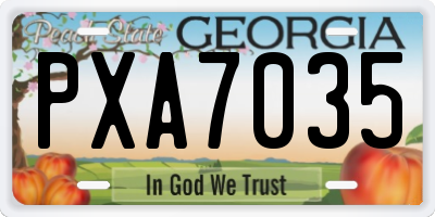 GA license plate PXA7035