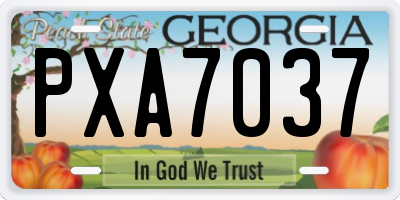 GA license plate PXA7037