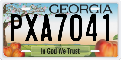 GA license plate PXA7041