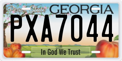 GA license plate PXA7044