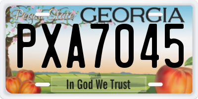 GA license plate PXA7045