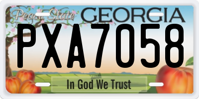 GA license plate PXA7058