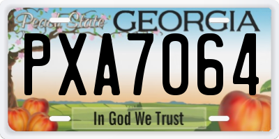 GA license plate PXA7064