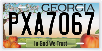 GA license plate PXA7067
