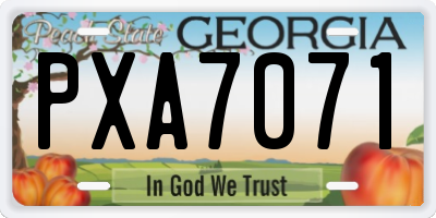 GA license plate PXA7071