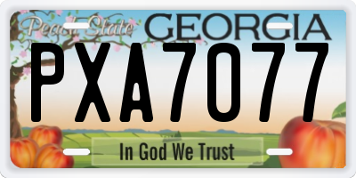 GA license plate PXA7077