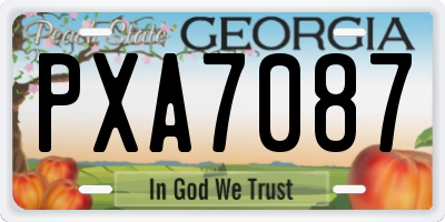 GA license plate PXA7087