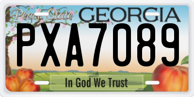 GA license plate PXA7089