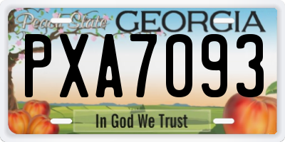 GA license plate PXA7093