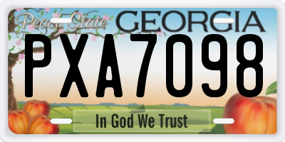 GA license plate PXA7098