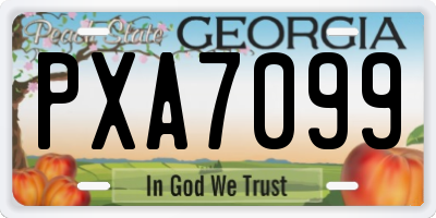 GA license plate PXA7099