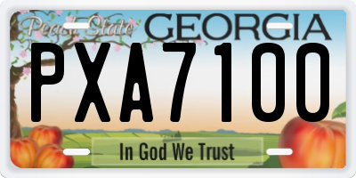 GA license plate PXA7100