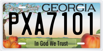 GA license plate PXA7101