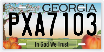 GA license plate PXA7103