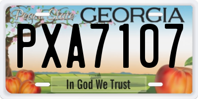 GA license plate PXA7107