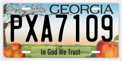 GA license plate PXA7109