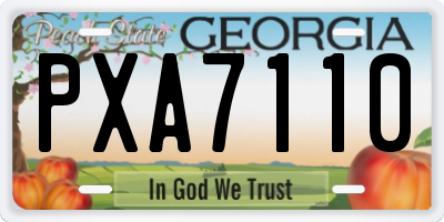 GA license plate PXA7110