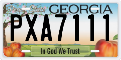 GA license plate PXA7111