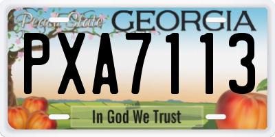 GA license plate PXA7113