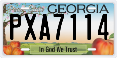 GA license plate PXA7114