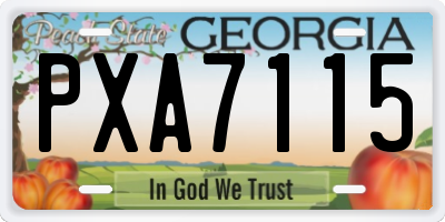 GA license plate PXA7115