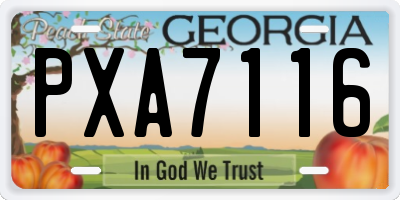 GA license plate PXA7116