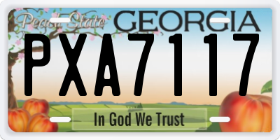 GA license plate PXA7117