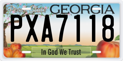 GA license plate PXA7118