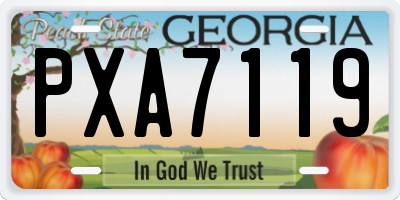GA license plate PXA7119