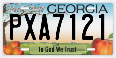 GA license plate PXA7121