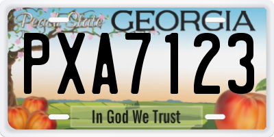 GA license plate PXA7123