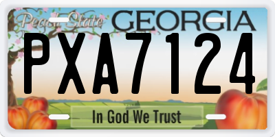 GA license plate PXA7124