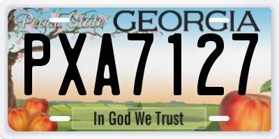 GA license plate PXA7127
