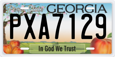 GA license plate PXA7129